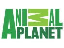 Animal Planet
