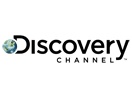 Discovery